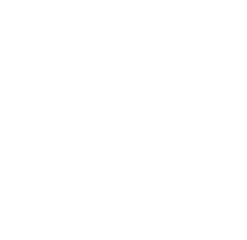 VonBrook Logo white